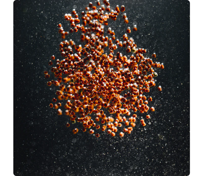 StreamBiz Cichlid Color Soft Granules 80 g