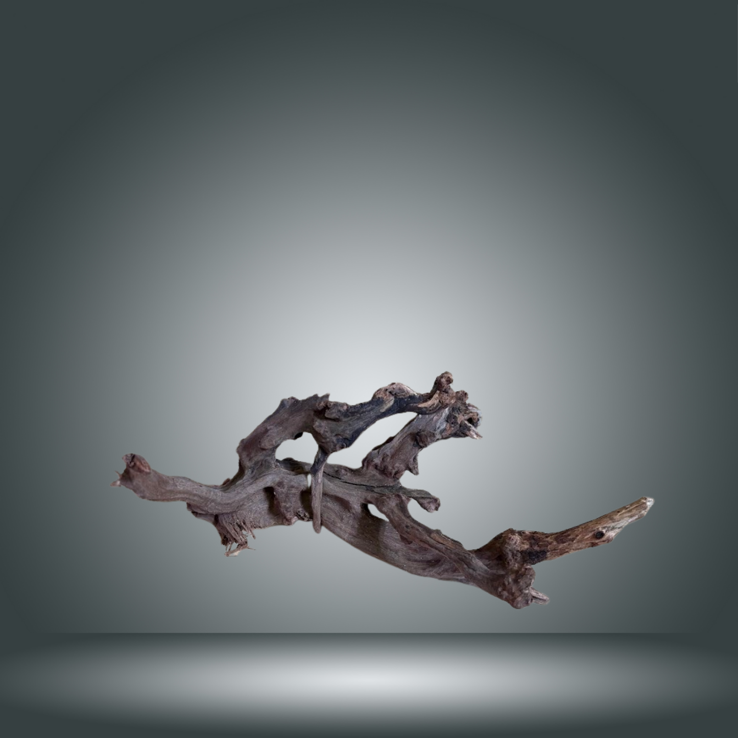 Coral Sinker 13E - 031 aprox. 20-35cm