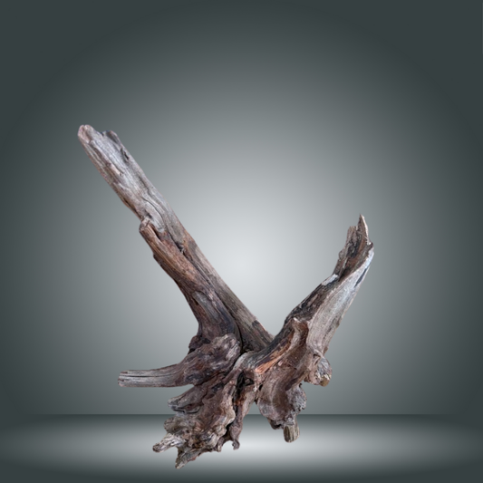 Coral Sinker 13E - 032 aprox. 20-35cm