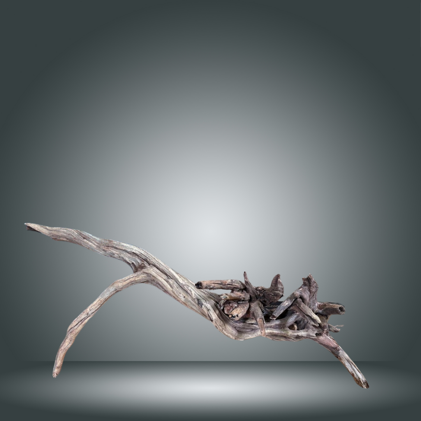 Coral Sinker 13E - 033 aprox. 20-35cm