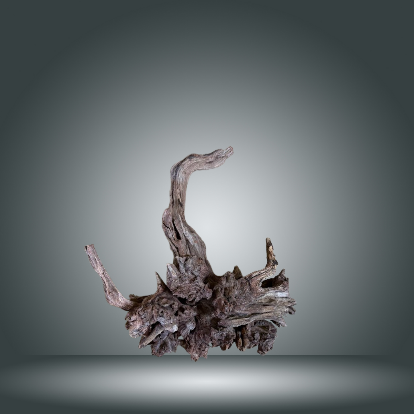 Coral Sinker 13E - 034 aprox. 20-35cm