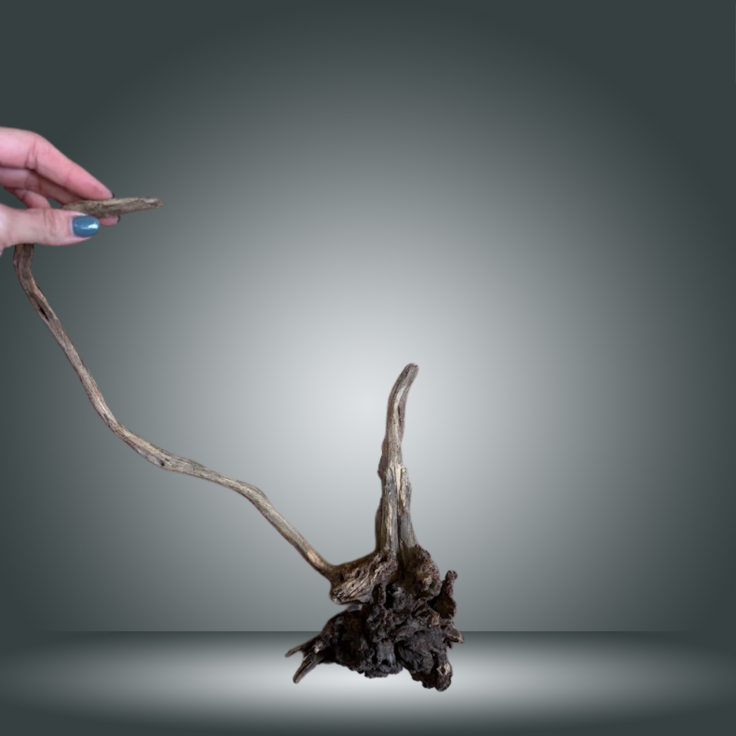 Coral Sinker 13E - 035 aprox. 20-35cm