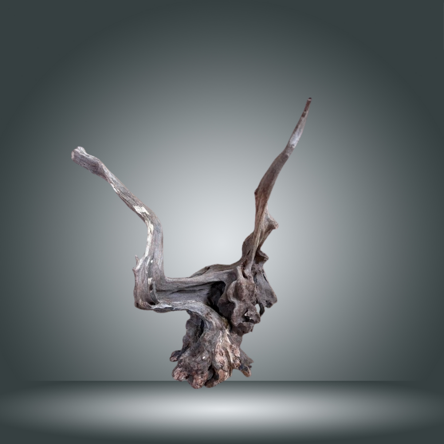 Coral Sinker 13E - 036 aprox. 20-35cm