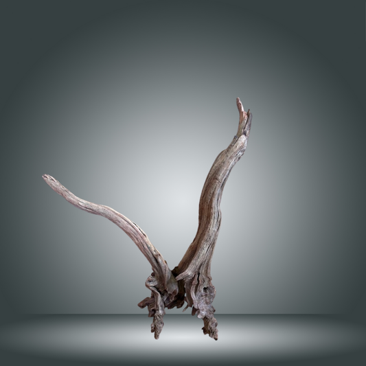 Coral Sinker 13E - 037 aprox. 20-35cm