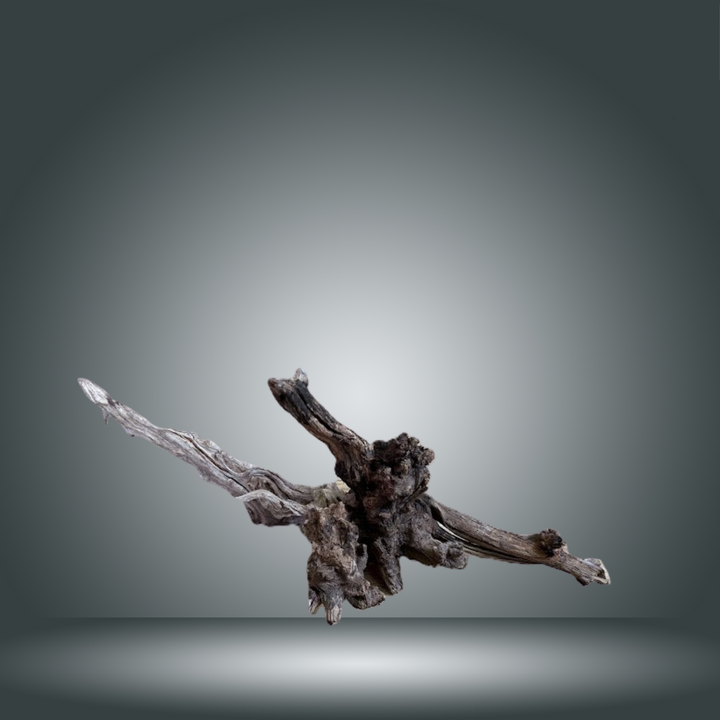 Coral Sinker 13E - 038 aprox. 20-35cm