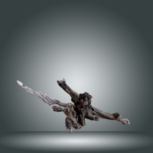 Coral Sinker 13E - 038 aprox. 20-35cm