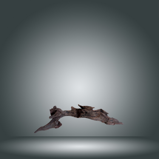 Coral Sinker 13E - 039 aprox. 20-35cm