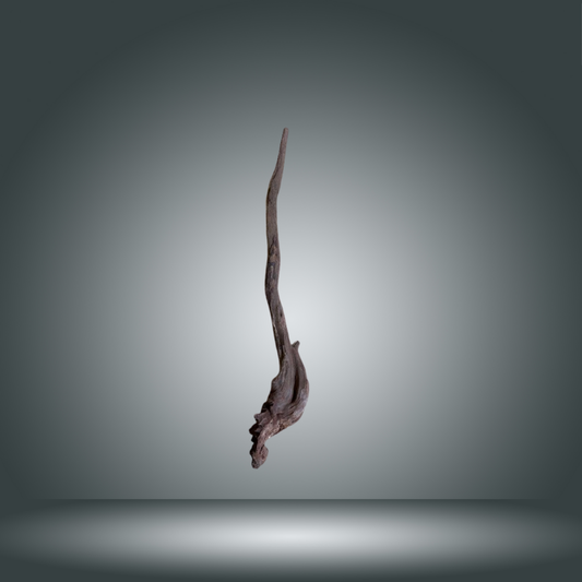 Coral Sinker 13E - 040 aprox. 20-35cm