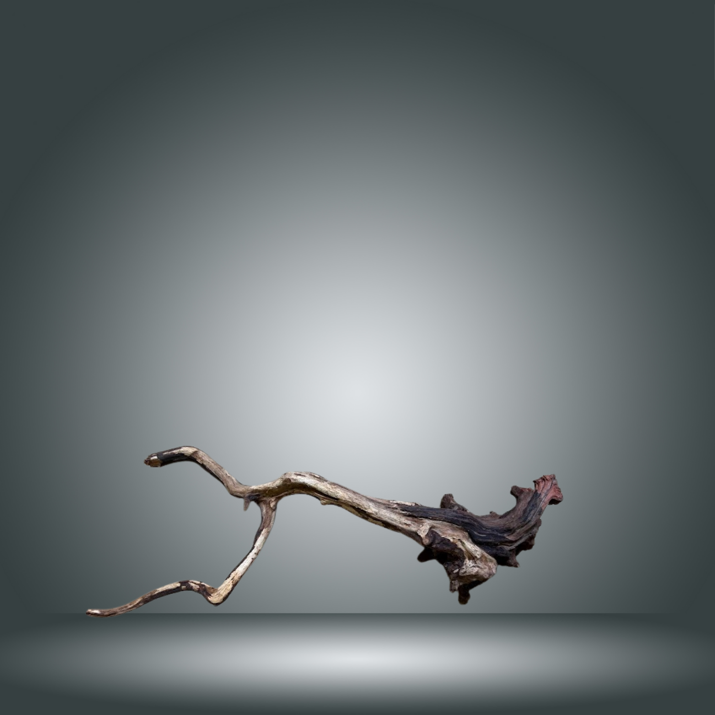 Coral Sinker 13E - 041 aprox. 20-35cm