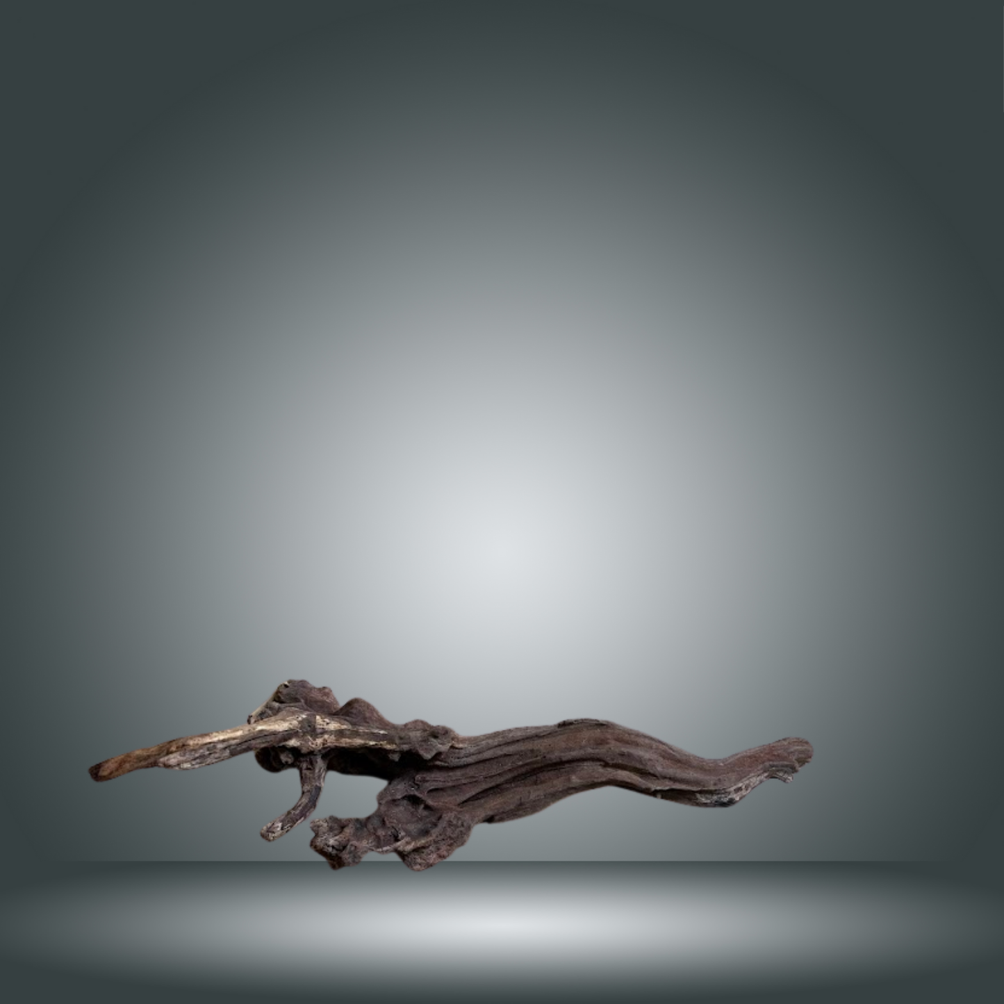 Coral Sinker 13E - 042 aprox. 20-35cm