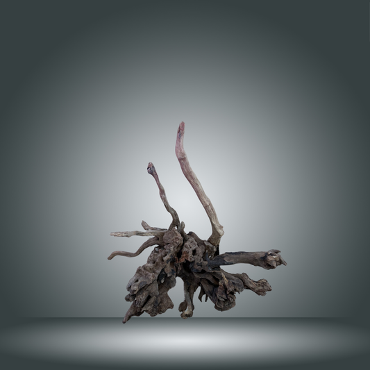 Coral Sinker 2M-002 20-35cm