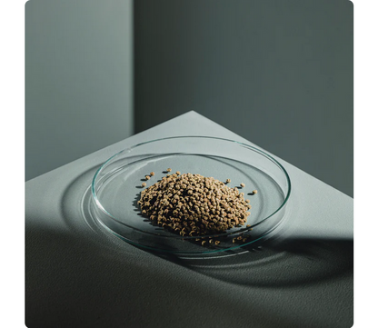 StreamBiz Crusta Plus Insect Chips 40g