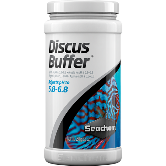 Discus Buffer 250 gr