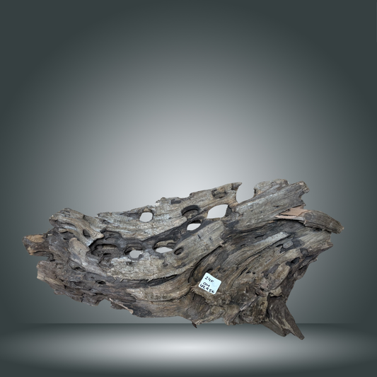 Dragon wood pieza 24F - 001