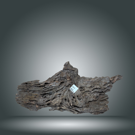 Dragon wood pieza 24F - 002