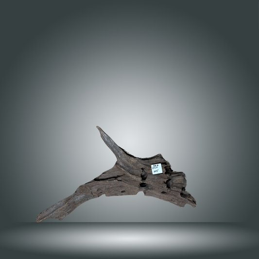 Dragon wood pieza 24F - 005