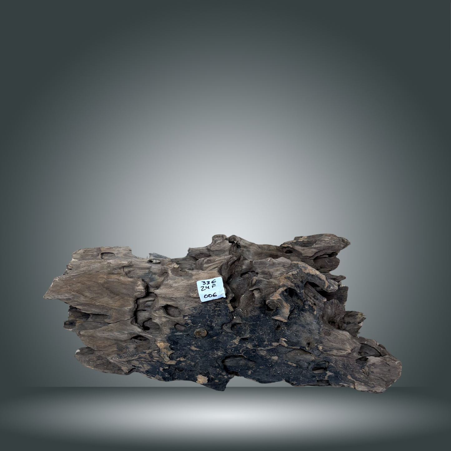 Dragon wood pieza 24F - 006