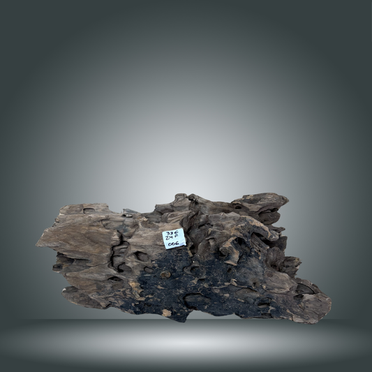 Dragon wood pieza 24F - 006