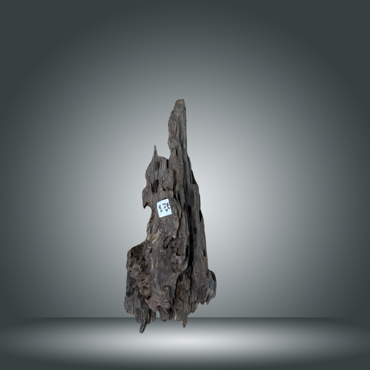 Dragon wood pieza 24F - 007