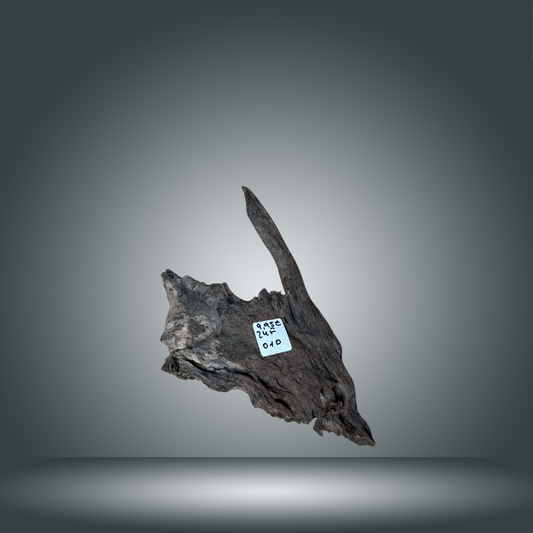 Dragon wood pieza 24F - 010