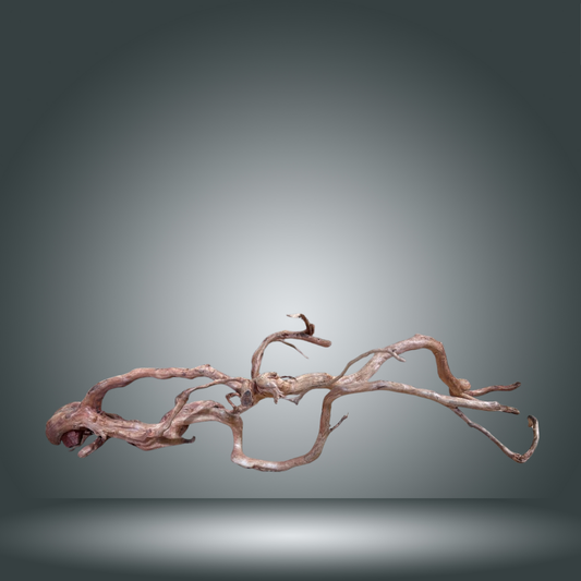 Rama Snake 13E - 007 aprox. 80/100cm