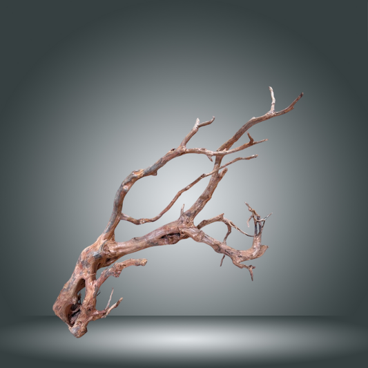 Rama Snake 13E - 008 aprox. 80/100cm