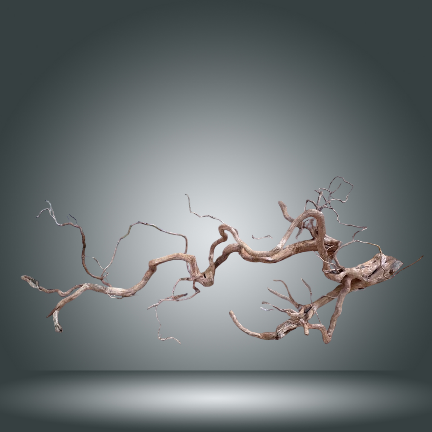 Rama Snake 13E - 010 aprox. 80/100cm