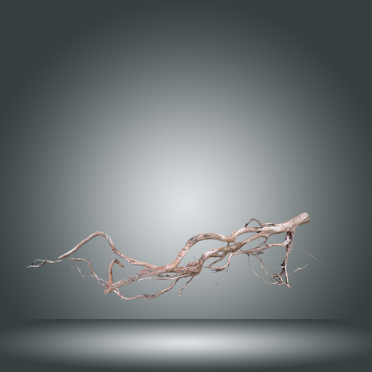 Rama Snake 13E - 011 aprox. 80/100cm