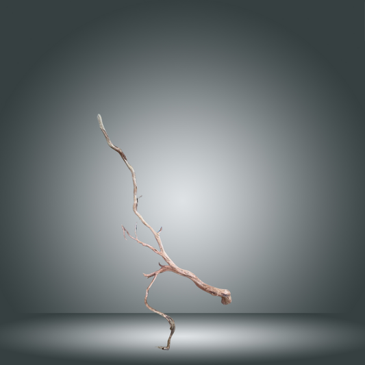 Rama Snake 13E - 012 aprox. 60/80cm