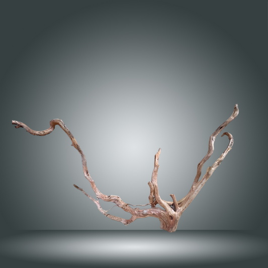 Rama Snake 13E - 013 aprox. 60/80cm