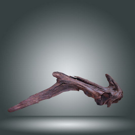 Driftwood 13E - 019 aprox. 80/100cm