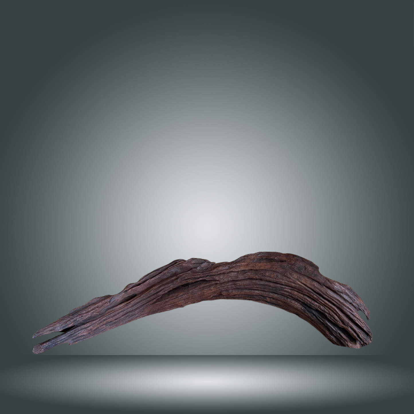 Driftwood 13E - 022 aprox. 60/80cm