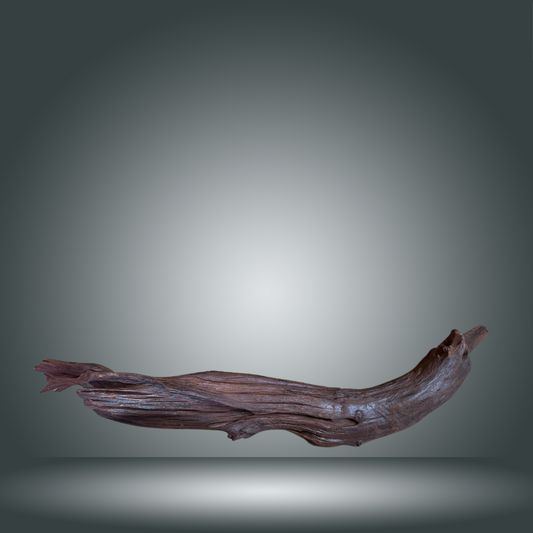 Driftwood 13E - 023 aprox. 60/80cm
