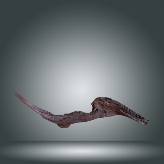 Driftwood 13E - 025 aprox. 50/60cm