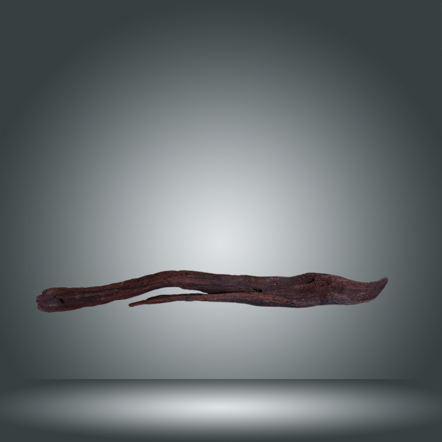 Driftwood 13E - 027 aprox. 50/60cm
