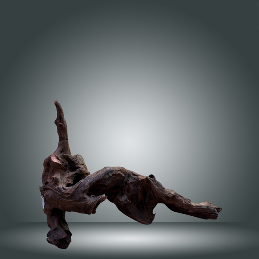 Driftwood talla M aprox 50cm 15M-006