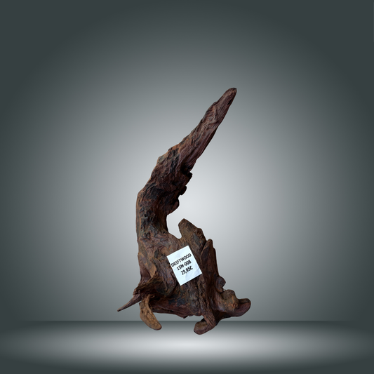 Driftwood talla M aprox 50cm 15M-008