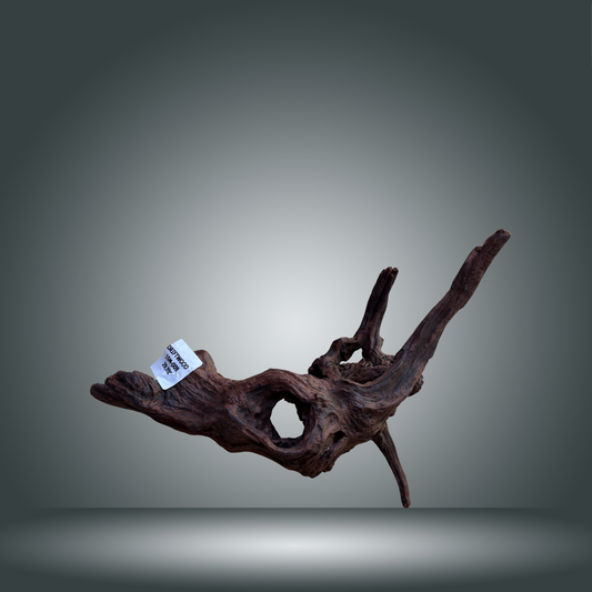 Driftwood talla M aprox 50cm 15M-009