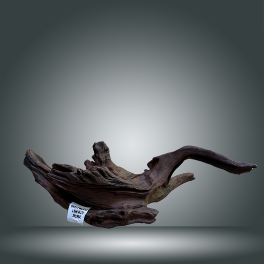 Driftwood talla M aprox 50cm 15M-010