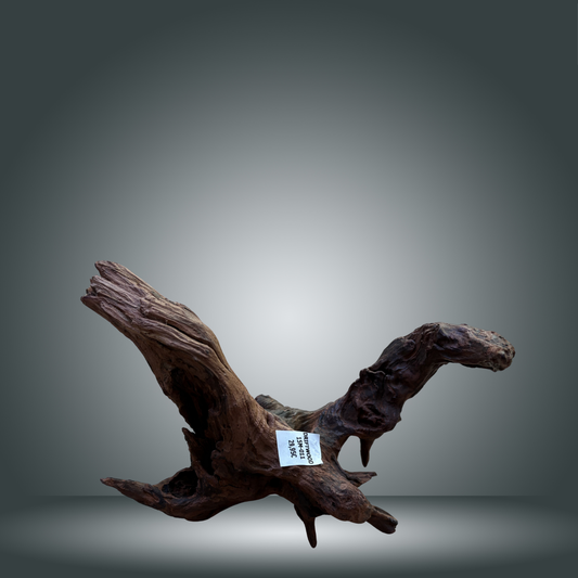 Driftwood talla M aprox 50cm 15M-011
