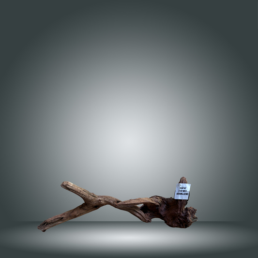 Driftwood talla M aprox 50cm 15M-012