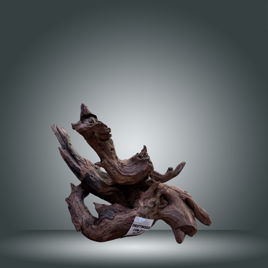 Driftwood talla M aprox 50cm 15M-014