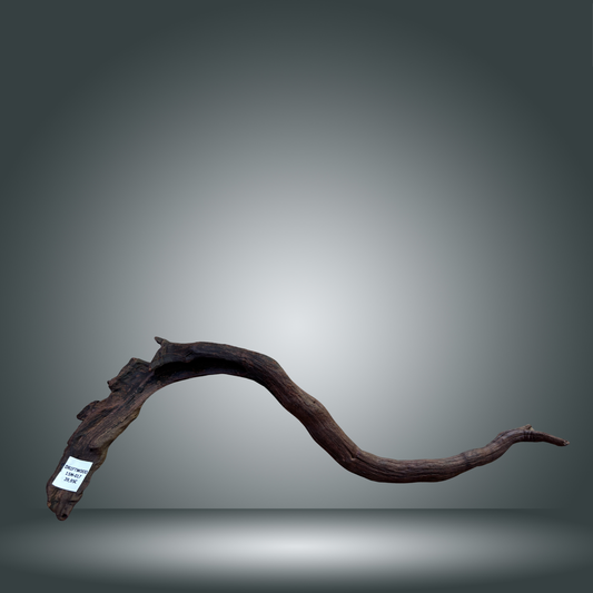 Driftwood talla L aprox 70cm 15M-017