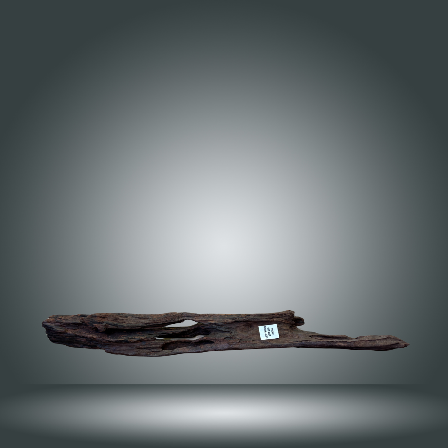 Driftwood talla L aprox 70cm 15M-019