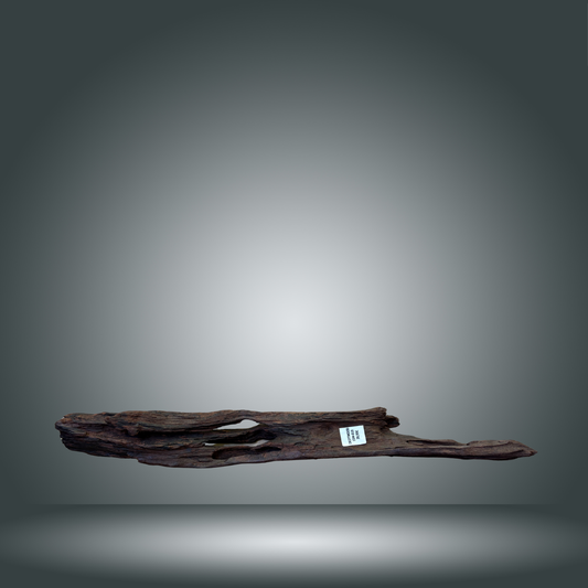 Driftwood talla L aprox 70cm 15M-019