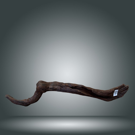 Driftwood talla L aprox 70cm 15M-022