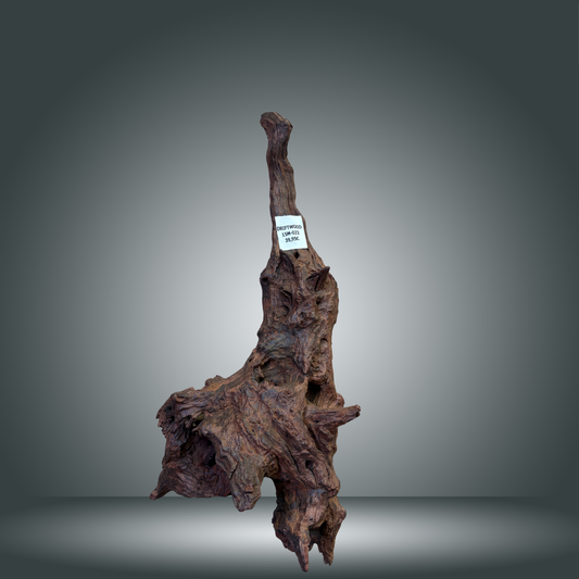 Driftwood talla L aprox 70cm 15M-023