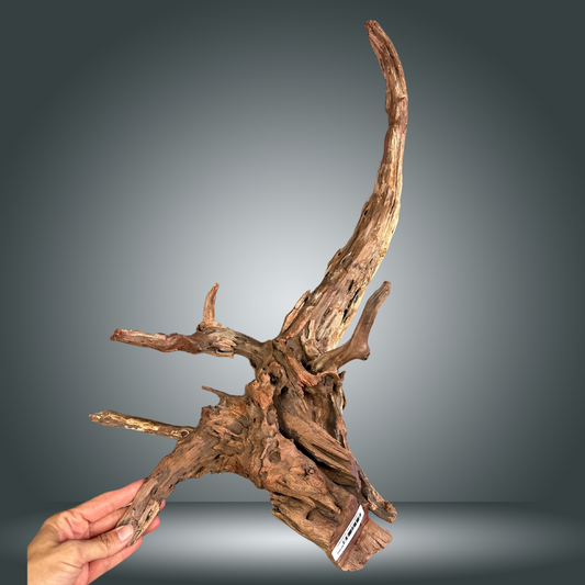 Driftwood 22O - 002 aprox. 60/80cm