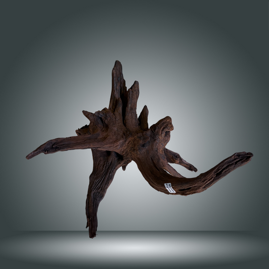 Driftwood pieza 24F - 033