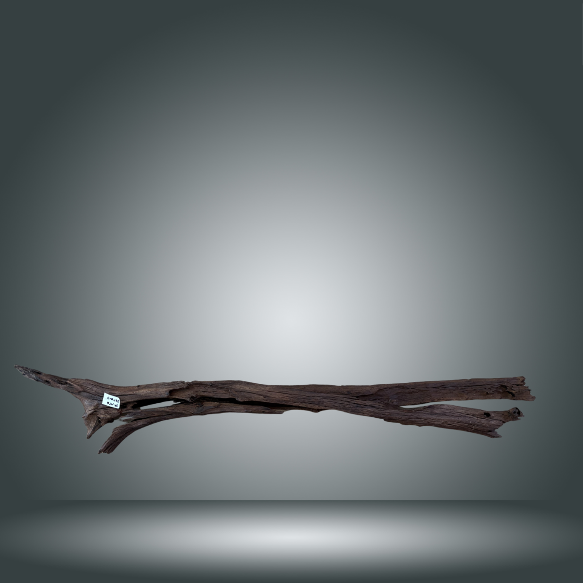 Driftwood pieza 24F - 043